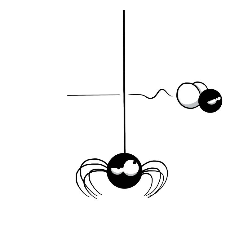 Beth the Spider - The Passing Fly