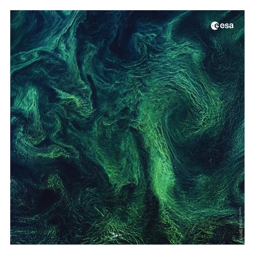 Earth from Space - Baltic blooms
