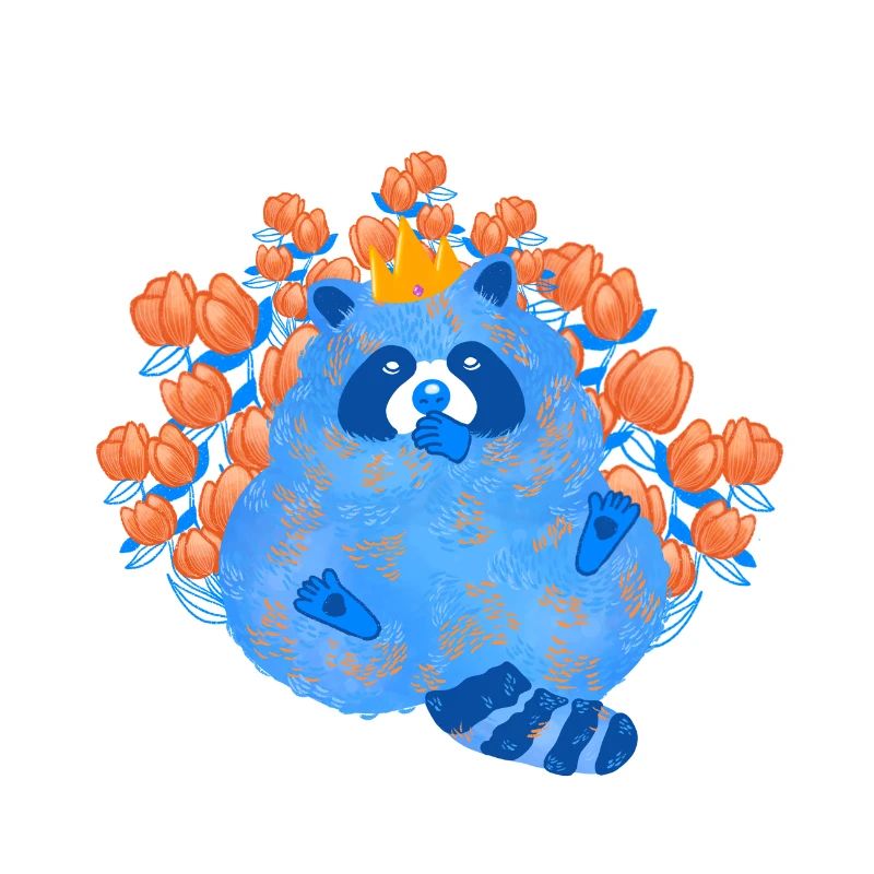 blue racoon