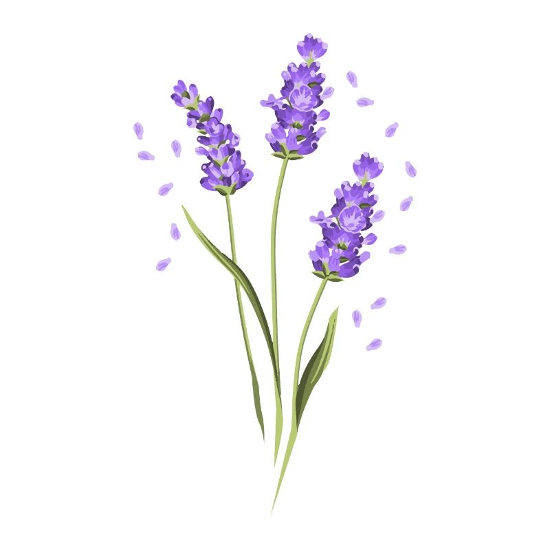 Fleur Violet Lavande d’été fleur idée de cadeau