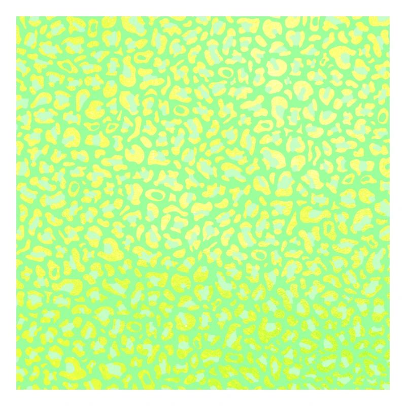 Leopard Pattern | Leopard Print | African Animal