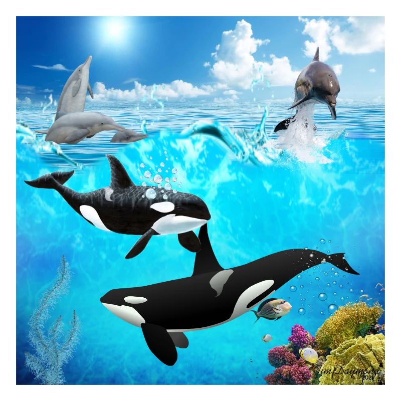 Undersea Pod: Orca and Dolphin Dive