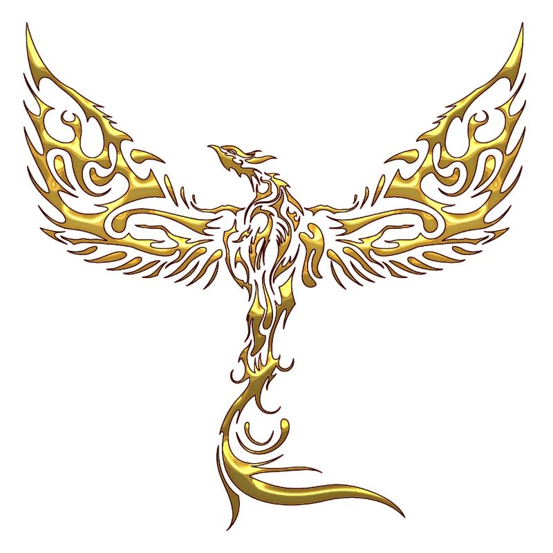 Eagles-Eagles-Eagles-Eagles-Bird-Bird