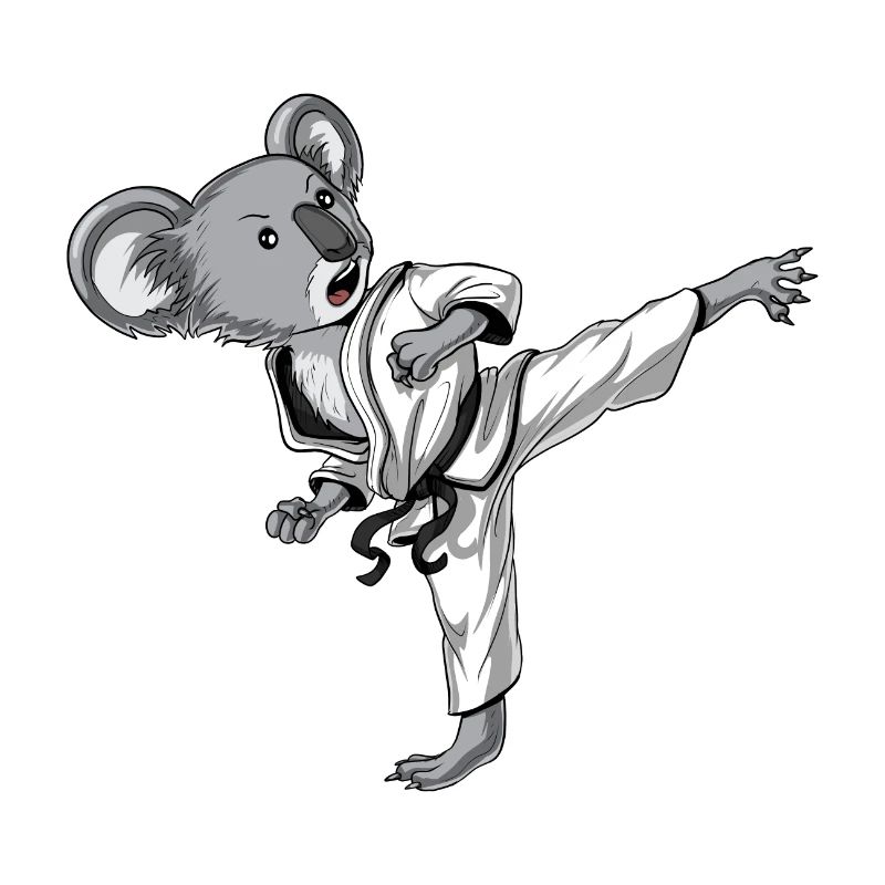 Koala Bear Karate