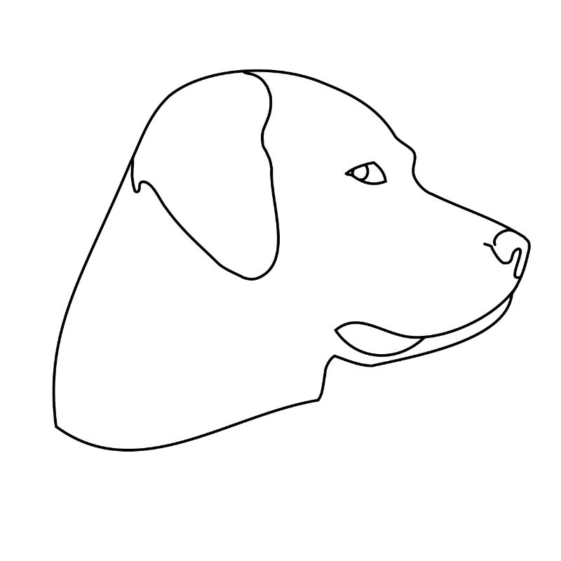 Hund