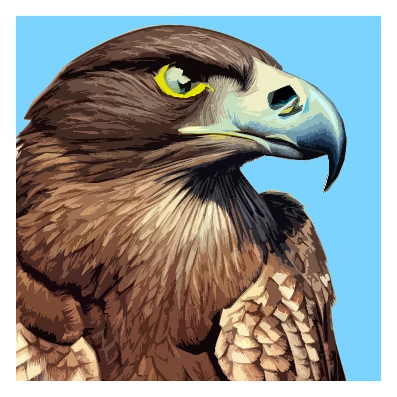 Eagle head illustration