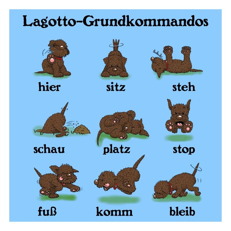 Commandes3 3