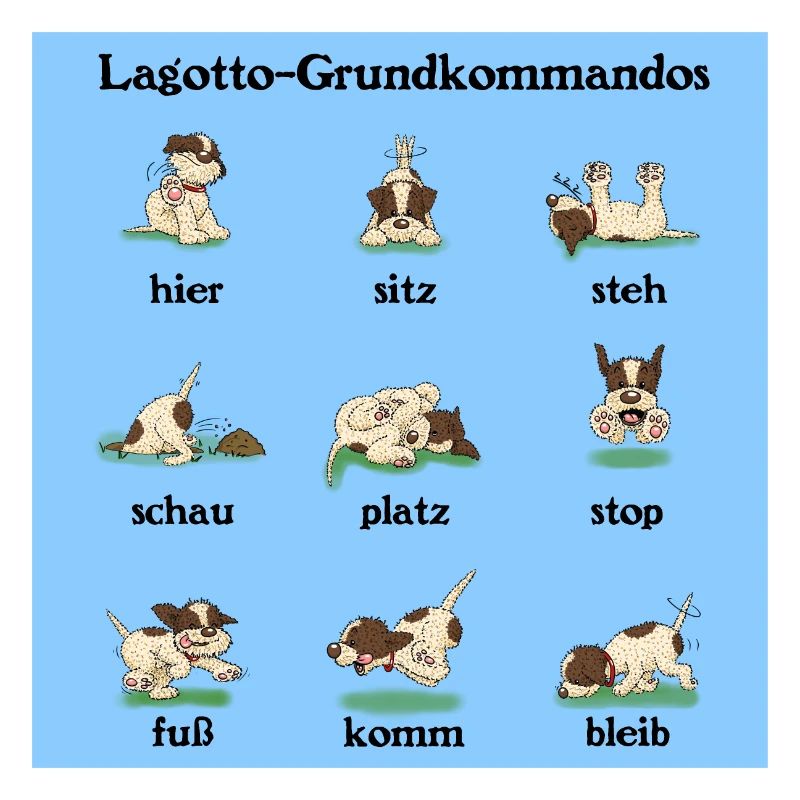 Commandes3 1