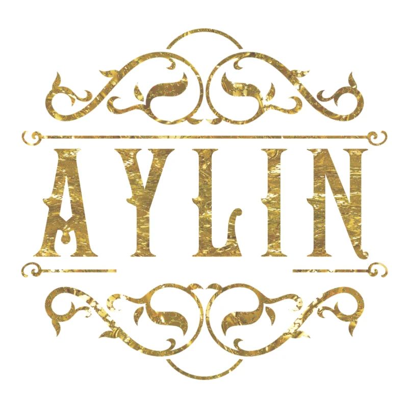 Or Aylin