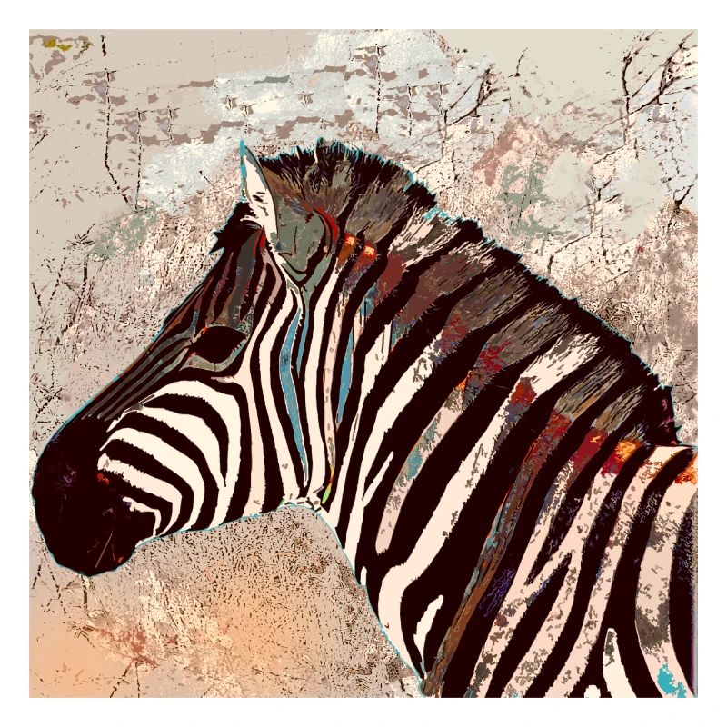 Zebra Head