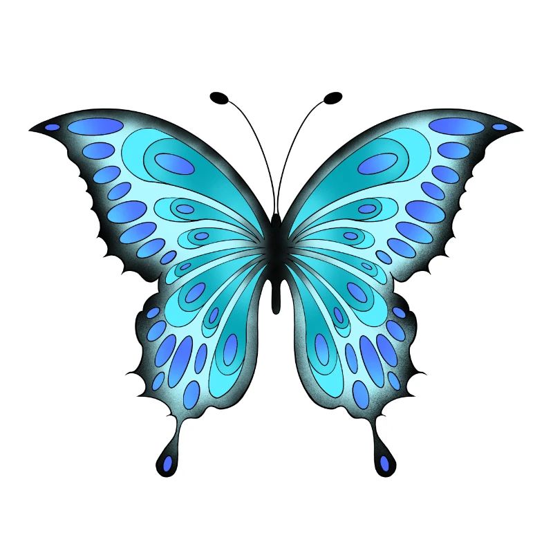 Papillon