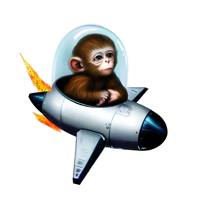 Astronaut Monkey Rocket Space