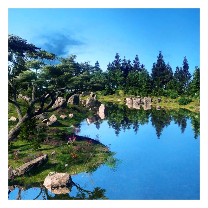 Des paysages différents #04