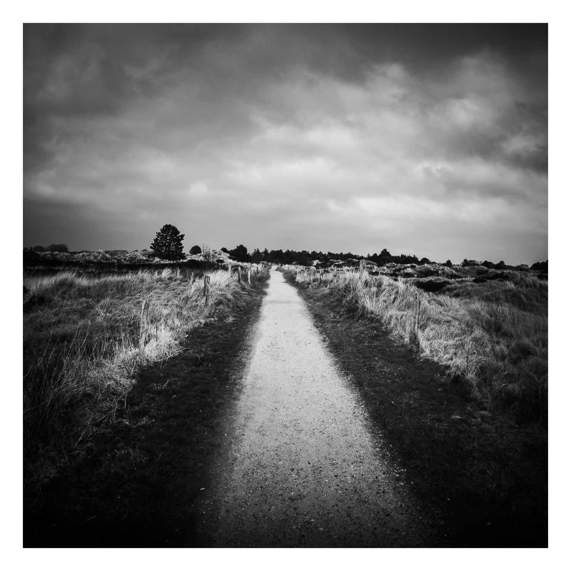 Path Path St. Peter Ording Dunes North Sea Poster