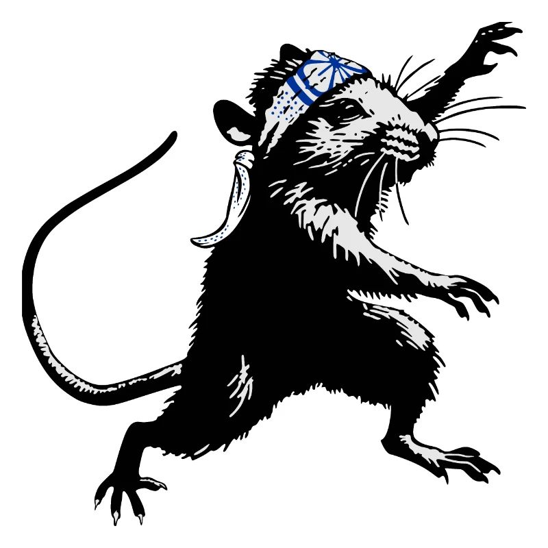 KaRATe - « Rat Ninja »