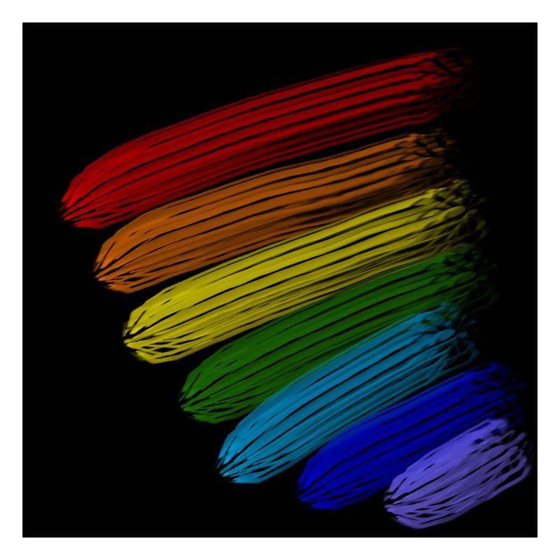 Regenbogen-Streifen