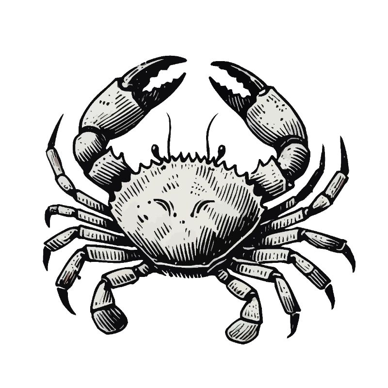 crab crab