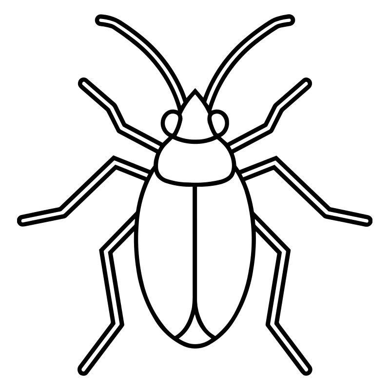 Aphid