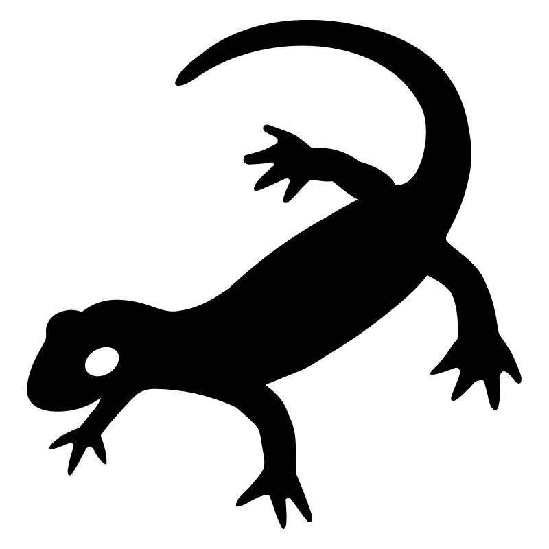 Salamandre 2023