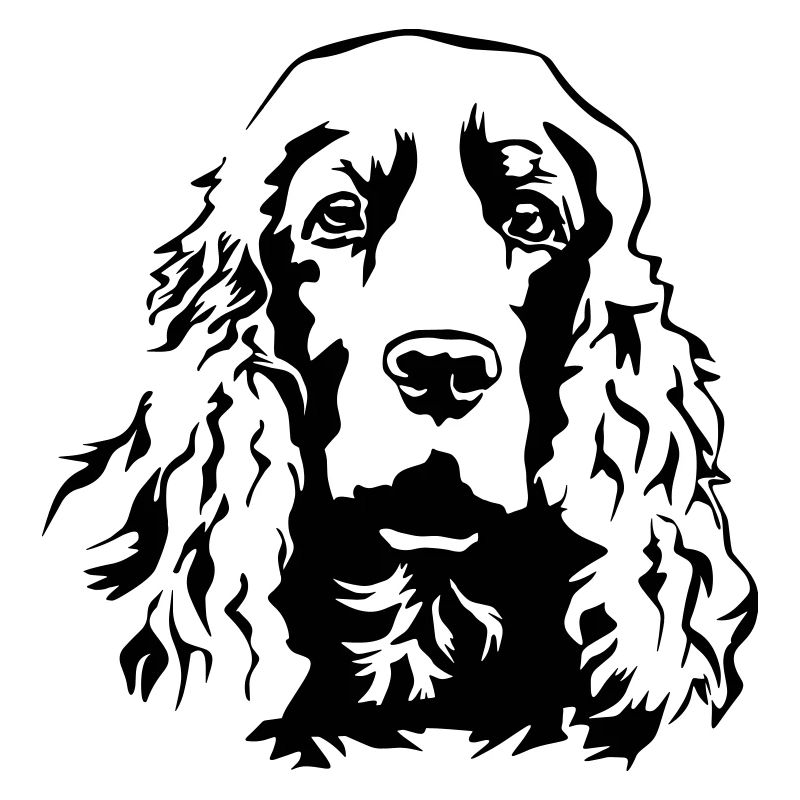 Cocker Spaniel Kopf