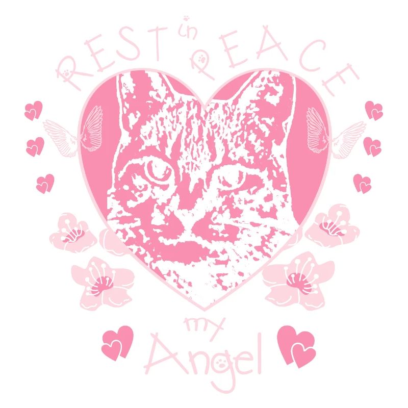 Ange chat