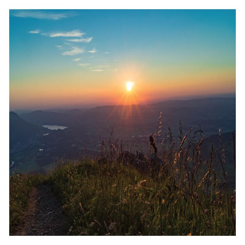 Poster square sunset