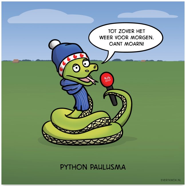 Evert Kwok cartoon 'Python'