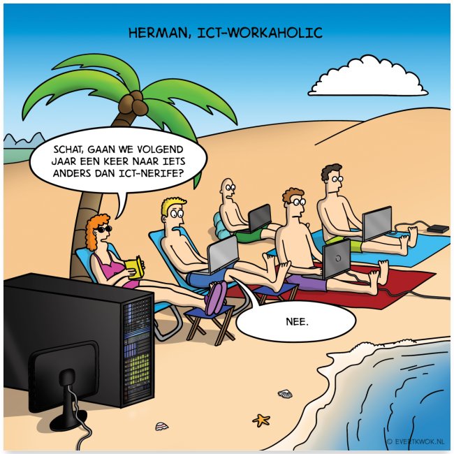 Evert Kwok cartoon 'ICT-nerife'