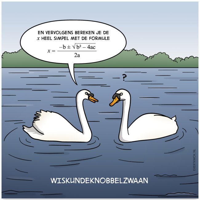 Evert Kwok cartoon 'Wiskundeknobbelzwaan'