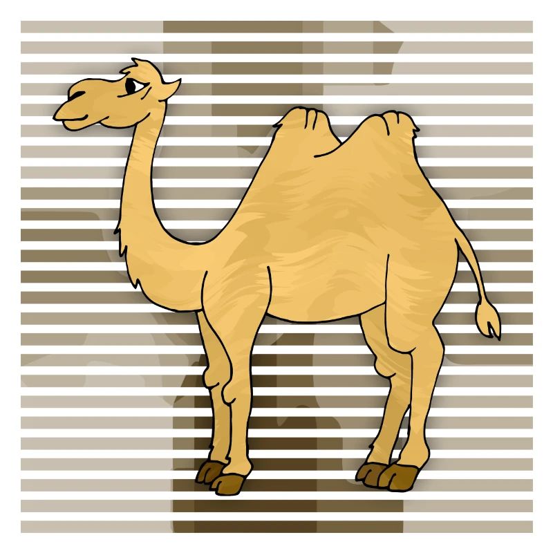 Camel