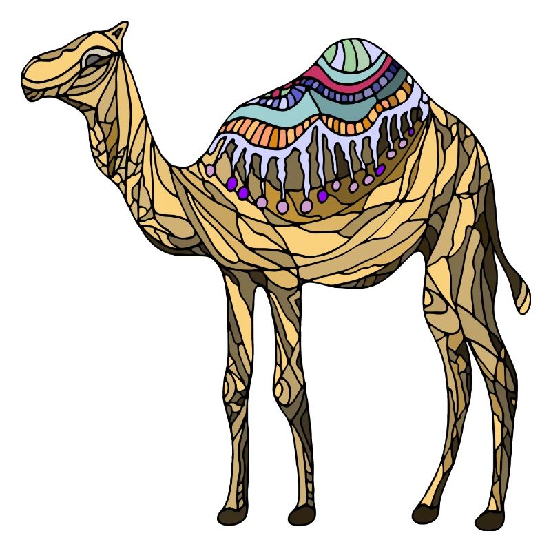 Kamel