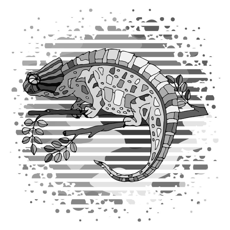 Chameleon