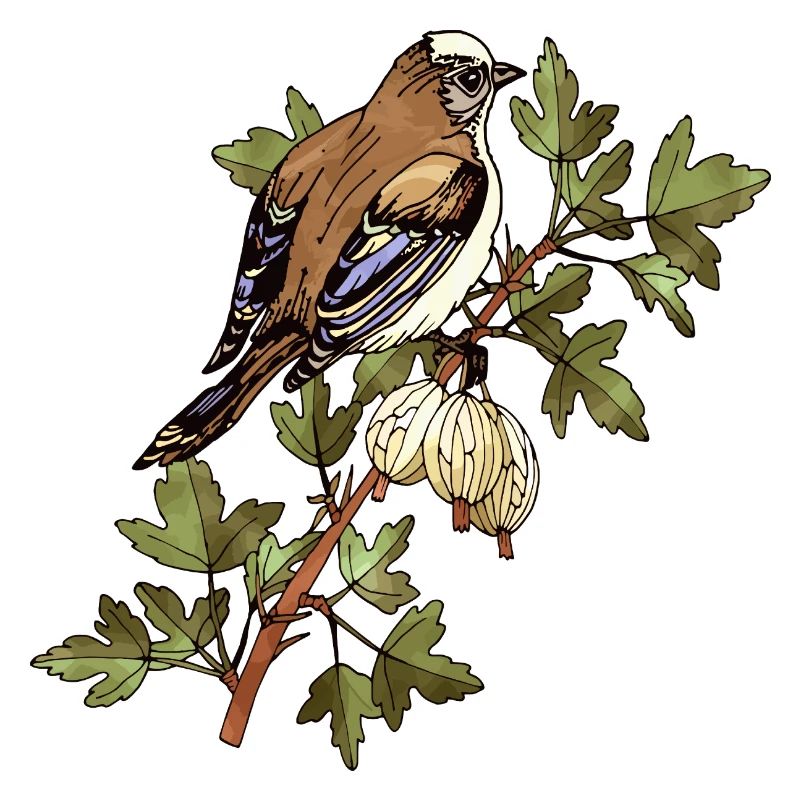 Bunter Vogel