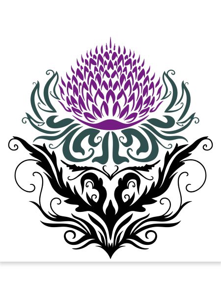 Distel lila Thistle