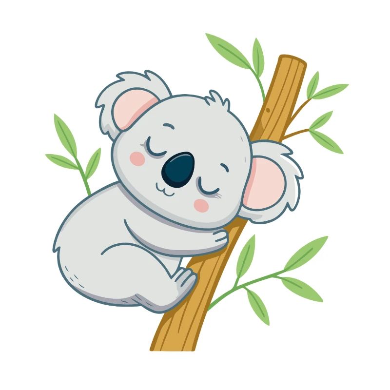 Schläferkoala auf einem Ast