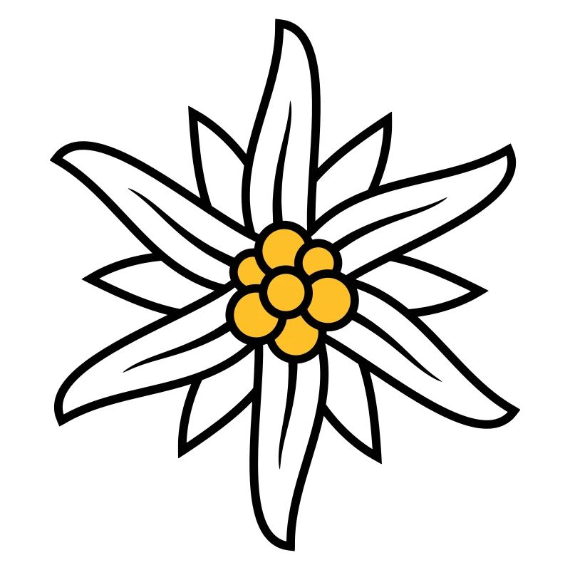 Logo Edelweiss Bergblume