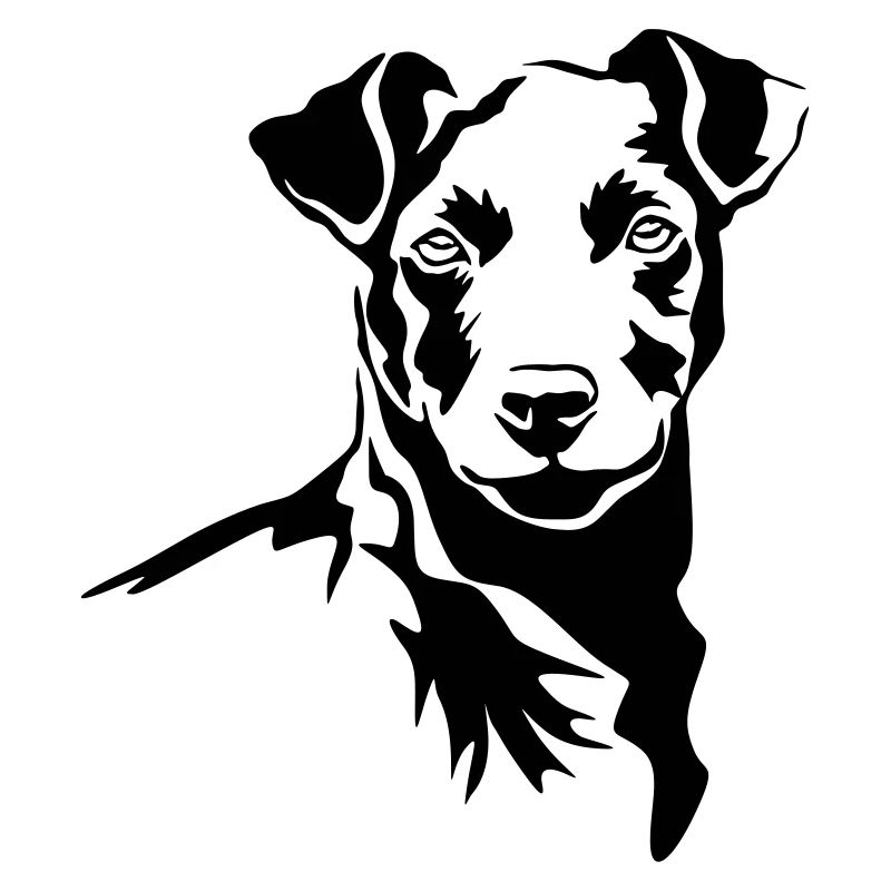 Patterdale Terrier head