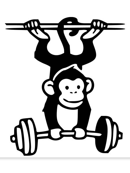 Primate Power - Gym Affe 