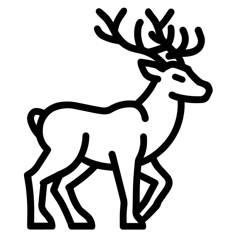 caribou