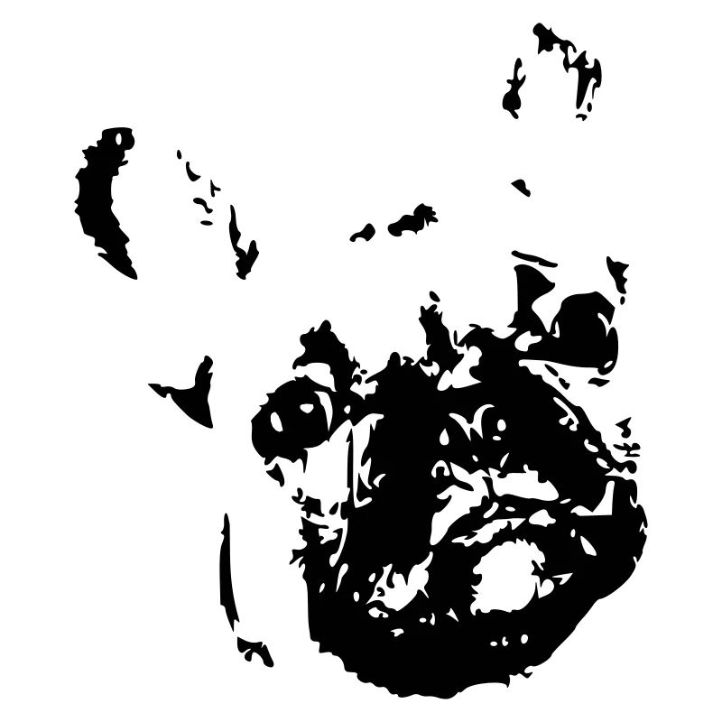 Bouledogue français, bouledogue, bouledogue français