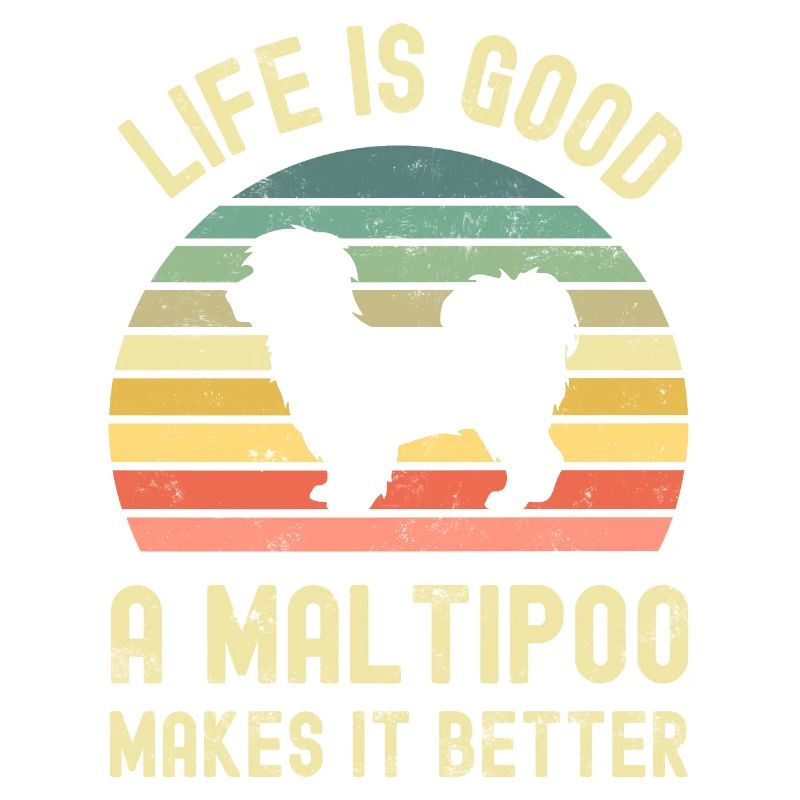 Hund Maltipoo