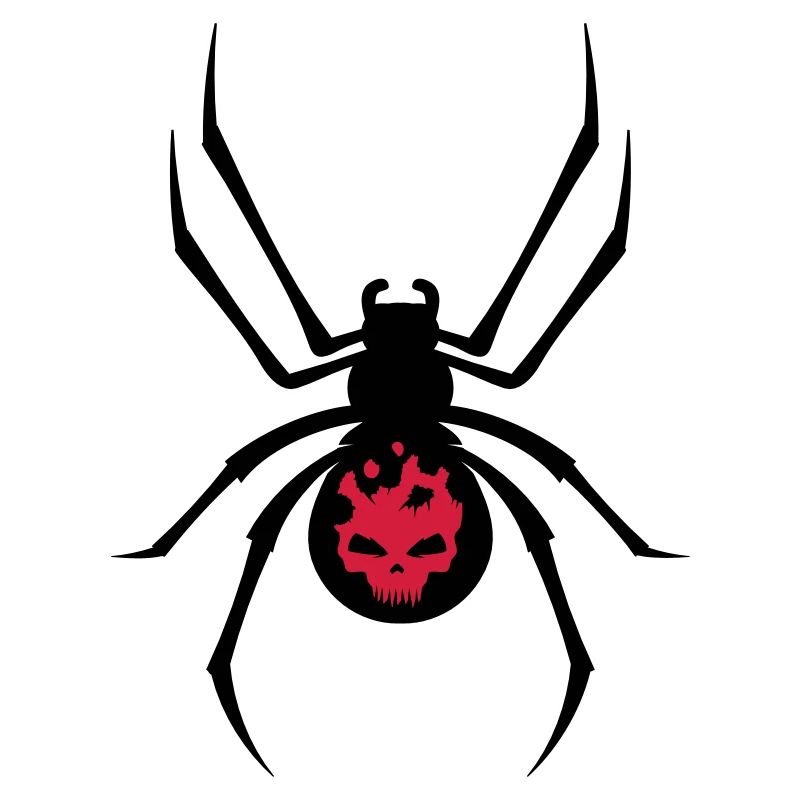 Schwarze Spinne mit Skull Muster