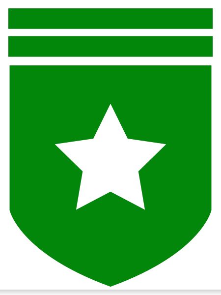 Abzeichen Stern