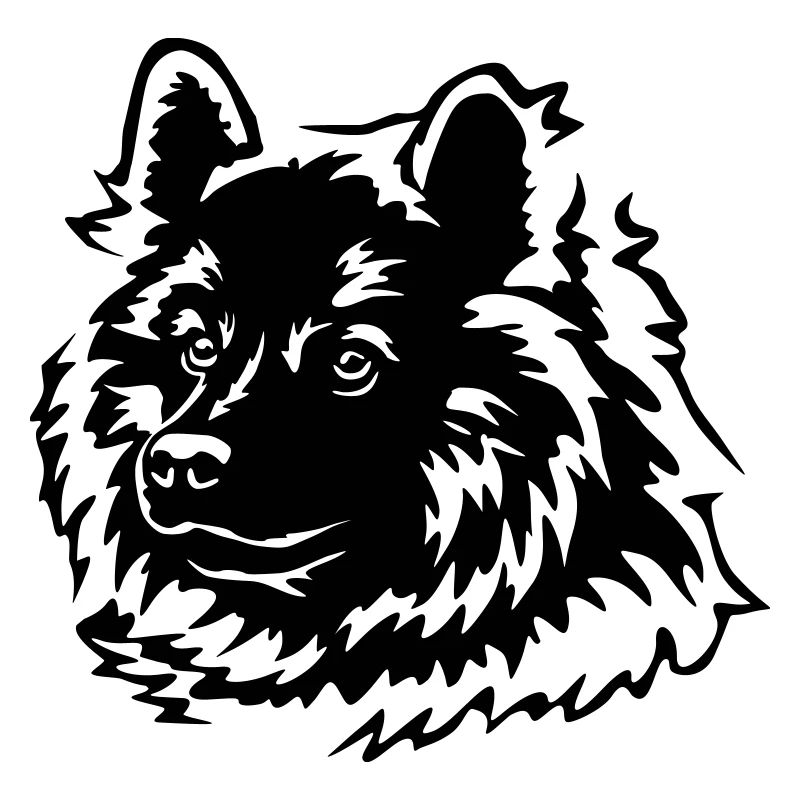 Eurasier Kopf