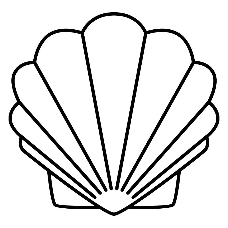 Shell