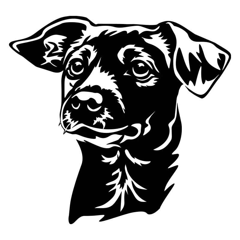 Jack Russell Terrier Kopf