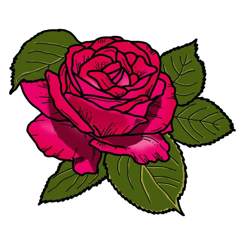 Pink Rose
