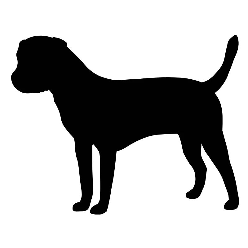Border Terrier