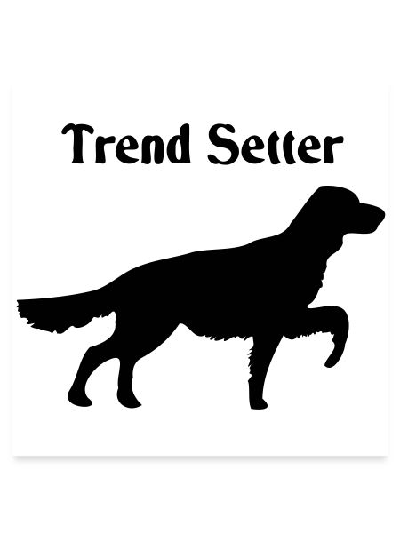 Trend Setter