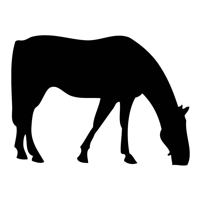 Pferd